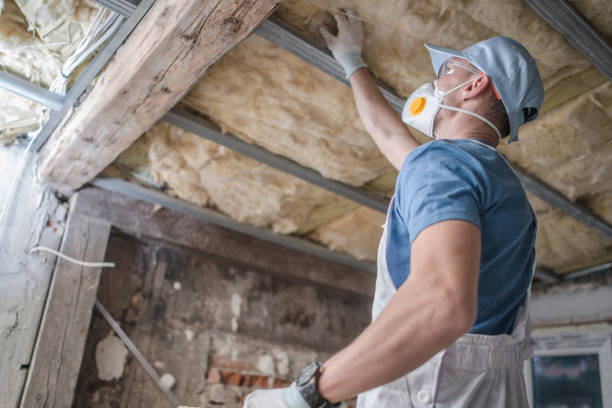 Insulation Repair Services in Center, CO