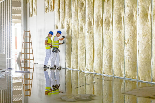 Best Wall Insulation Contractor  in Center, CO